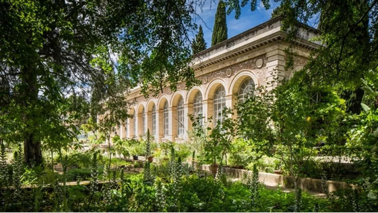 Place De La Comedie - Magnifique T2 Au Calme Montpellier Ngoại thất bức ảnh